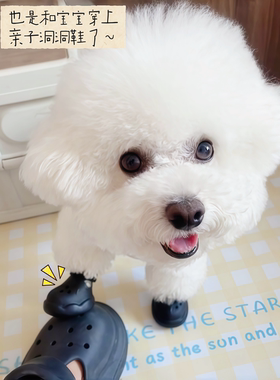 夏季可爱小型犬洞洞鞋脚套