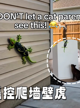 遥控四驱吸附爬墙仿真蜥蜴玩具