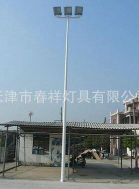 天津厂家T型投光灯杆15米高杆球场广场灯杆道路灯杆户外照明灯具