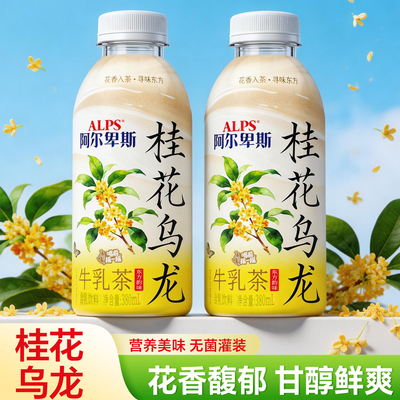 【阿尔卑斯】桂花乌龙牛乳茶380ml瓶装饮品商超饭店同款网红款饮