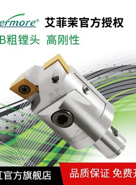 台湾Evermore标准型可调式镗刀CTB22-28 27-35通孔型粗镗头