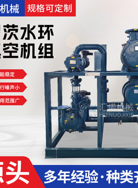 定制JZJ2B水环罗茨真空泵机组JZJS罗茨泵水环式罗茨水环真空机组