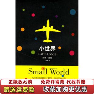 小世界英戴维洛奇上海译文出版 图书 社9787532741144 正版