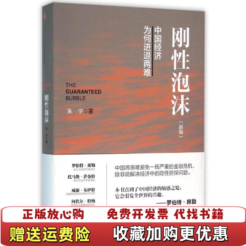 【正版图书】刚性泡沫新版 精装朱宁  著中信出版社9787508660356