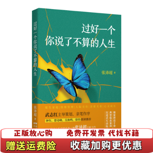 【正版图书】过好一个你说了不算的人生张沛超  著花城出版社9787536091696