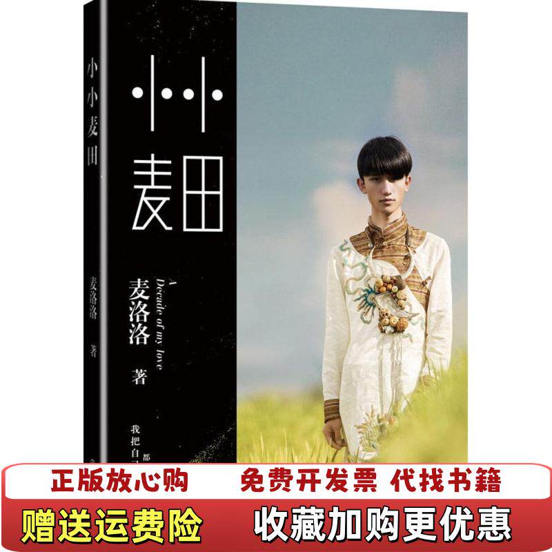 【正版图书】大学教材小小麦田麦洛洛著九州出版社9787510832208麦洛洛著九州出版社9787510832208