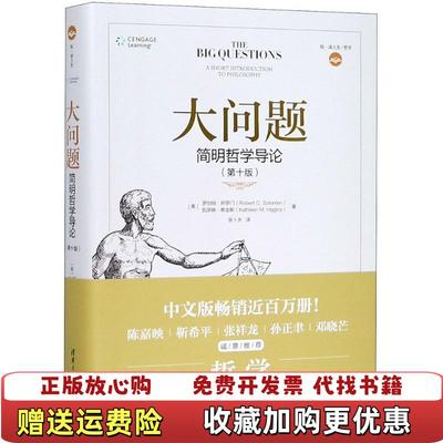 【正版图书】大问题简明哲学导论美罗伯特所罗门Robert C Solomon 凯思林希金斯Kathleen M Higg