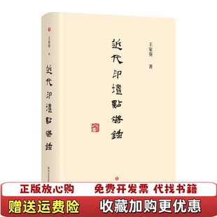 【正版图书】石头的心事王家葵碑帖故事与考证写给大家中国近代印坛点将录书法史书林书法课品藻录学徒记字美在何处书籍王家葵四川