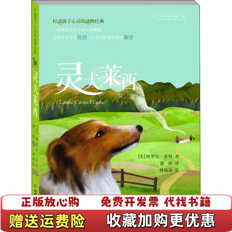 【正版图书】打动孩子心灵的动物经典灵犬莱西美艾里克 奈特 著胡婧 译刘向伟 绘中国少年儿童出版社9787514835571