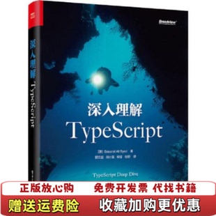 柳星 Syed 正版 社9787121376511 Ali 深入理解TypeScript澳Basarat 著郭文超 译电子工业出版 徐野 何小磊 图书