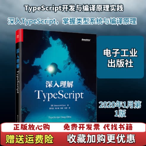 【正版图书】深入理解TypeScript澳BasaratAliSyed著郭文超何小磊柳星徐野译电子工业出版社978712