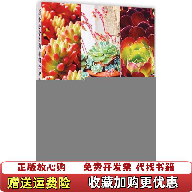 【正版图书】新手必备多肉植物养护大全慢生活工坊编福建科技出版社9787533547431