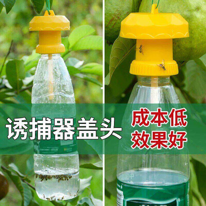 简易果蝇诱捕器盖头果园瓜地桔小实蝇针锋瓜蝇诱引捕捉诱剂果蝇药