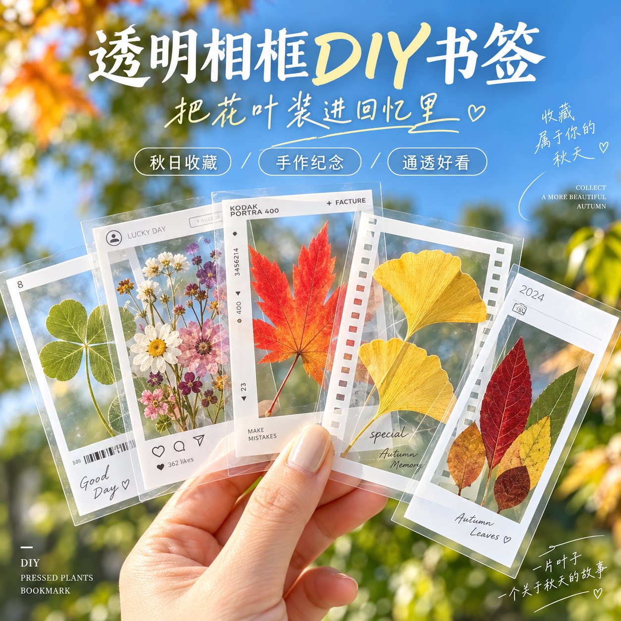 透明花书签DIY塑封膜植物标本