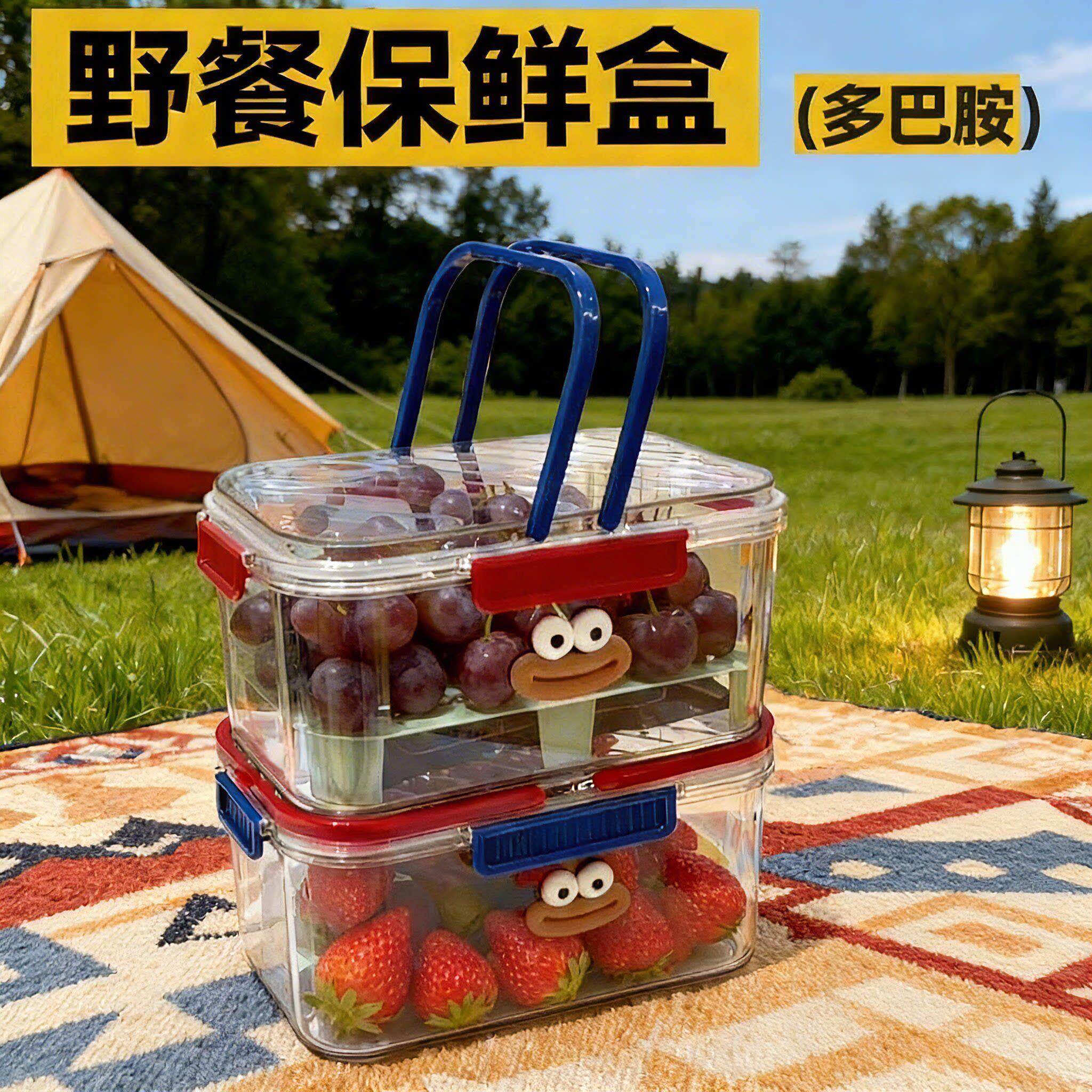 保鲜盒食品级大容量户外野餐盒带冰袋手提便携式春游水果沥水篮子