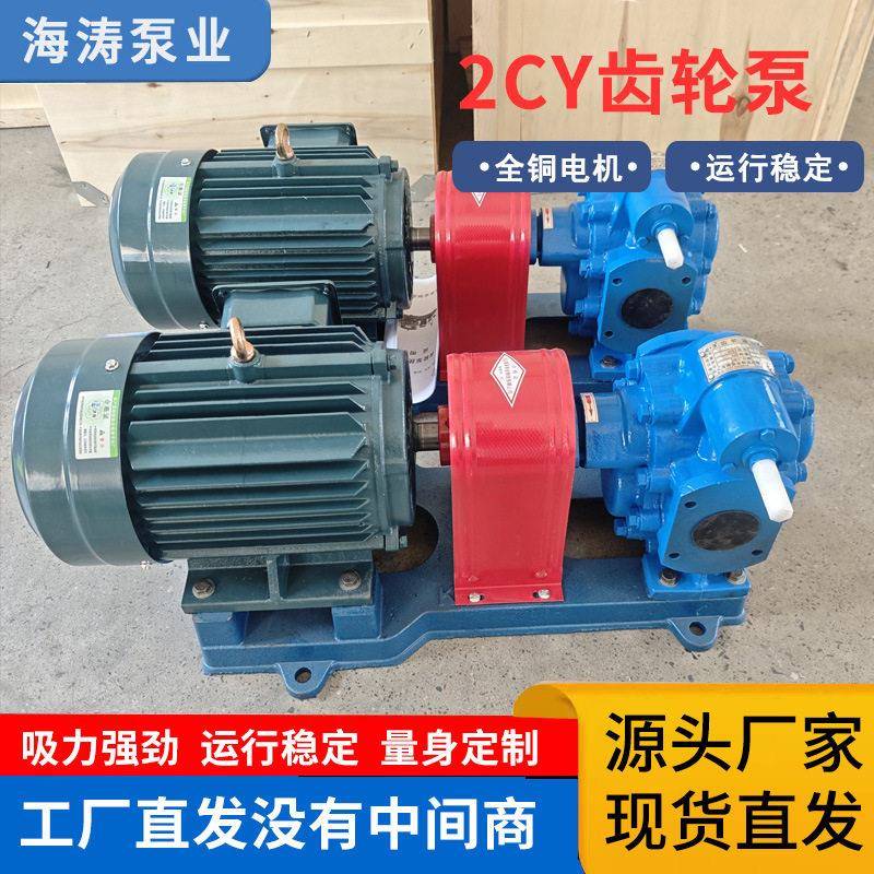 2CY齿轮泵现货大流量不锈钢齿轮油泵铸铁润滑油自吸式抽油泵