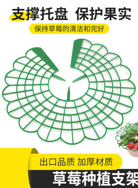 草莓种植托盘架圆形加厚款网格绿色一体懒人草莓托架