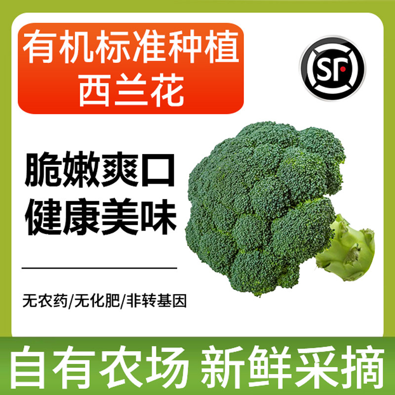 西蓝花荟馨园生态种植素食 花椰菜 菜花新鲜蔬菜放心食材