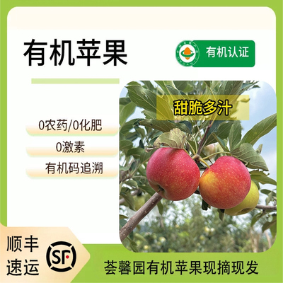 有机种植新鲜现摘老品种沙沙红富士苹果自然生长成熟口感酸甜可口