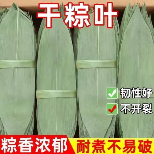 新鲜干粽叶端午节包粽子天然家用