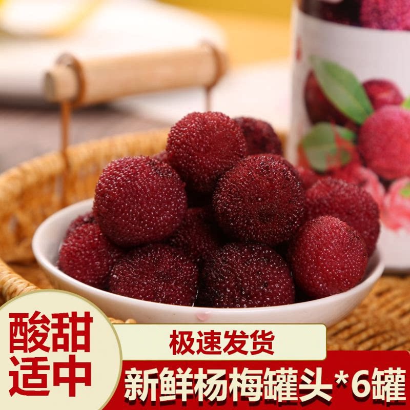 新鲜杨梅罐头220g糖水罐头小甜品
