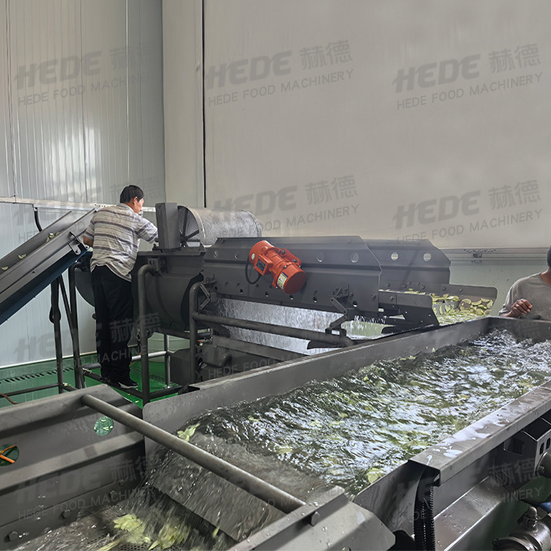 定制中央厨房净菜加工设备 涡流清洗机 巴沙鱼翻滚清洗设备
