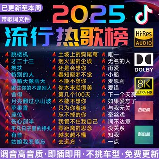 汽车载u盘歌曲2025新款柏林之声无损品质热门流行音响专用音乐u盘