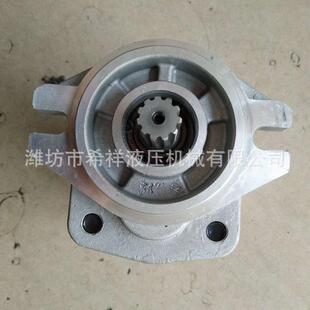 厂家现货转子泵销售各种系列恒流泵转向器工作齿轮马达