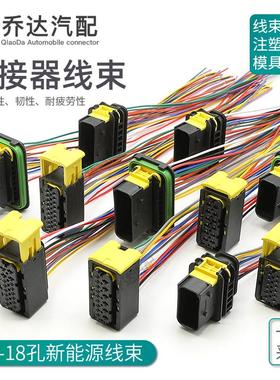 1-1703639-1 12-18孔新能源防水线束插头1563878端子1-1564407-1