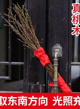 野生东南老桃木事业招财桃树枝家用乔迁安宅旺财惊吓客厅玄关摆件