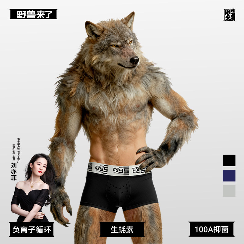 野兽来了唤醒野兽男士纯棉100A抑菌生蚝养护黑色袜子内裤专属礼盒,女士内衣/男士内衣/家居服,男平角内裤,淘宝优惠券,粉丝福利购,淘宝优惠卷
