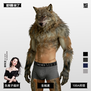 野兽来了男士内裤纯棉条纹抗菌新款透气100A抗菌四角潮流男款平角