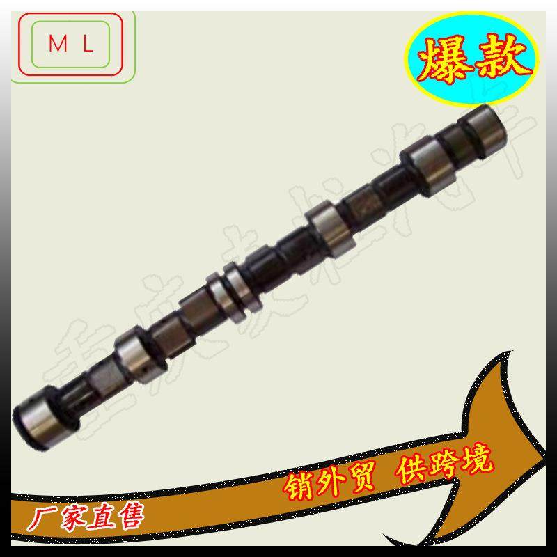 凸轮轴1006016A630-000Y