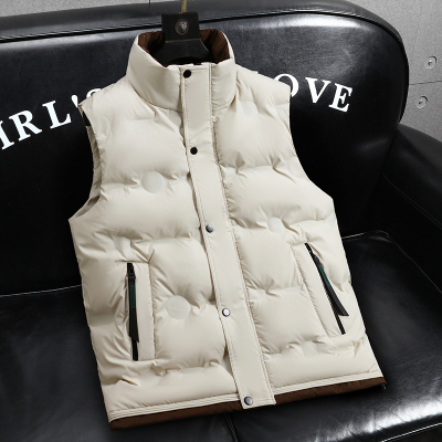 秋冬季外穿马甲背心男青少年立领无袖外套初高中生羽绒棉坎肩马夹