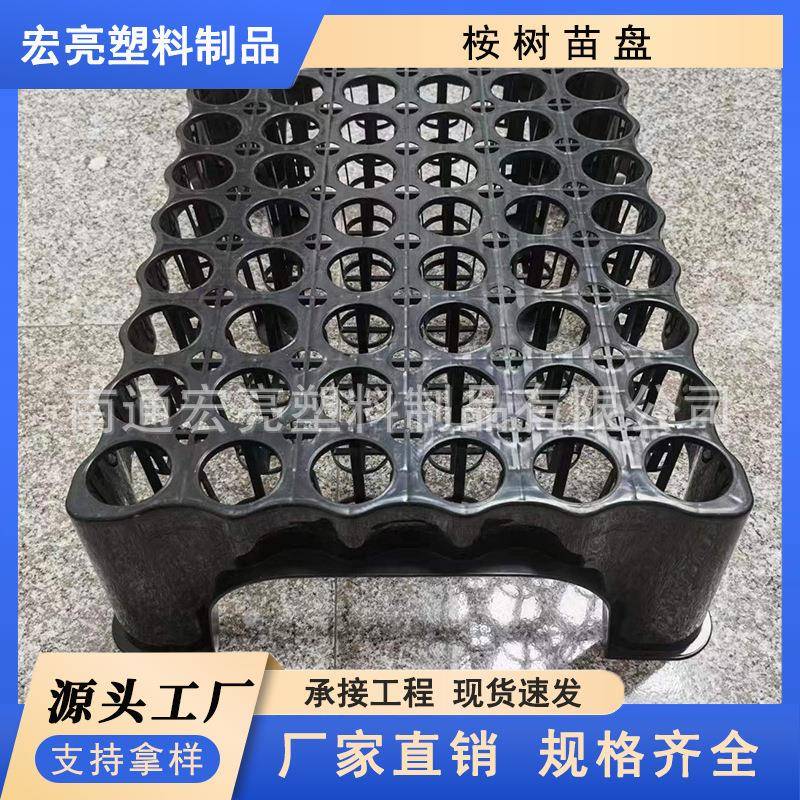 现货54孔桉树苗盘加厚循环使用6*9孔位塑料育苗穴盘厂家直销
