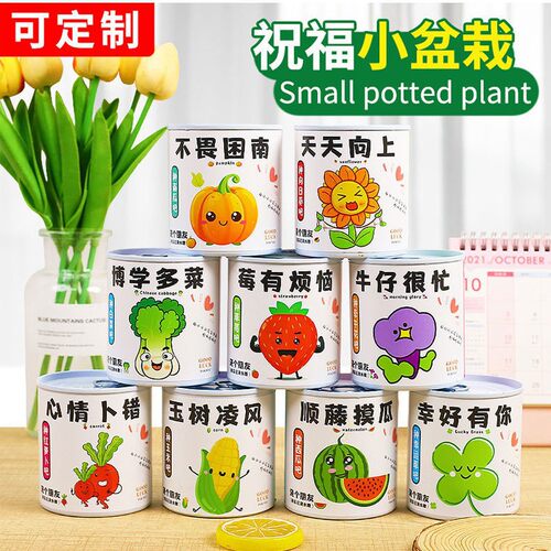 创意种植罐头盲盒儿童奖励小礼品易拉罐桌面植物DIY盆栽厂家批发