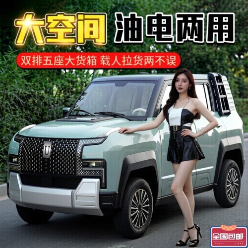 2026新款电动四轮车油电两用新能源汽车家用低速代步车全封闭成人