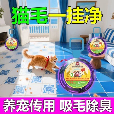 【家里没猫毛了】超强吸附宠物毛全天候清洁空气持久省心清除神器