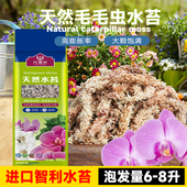 月逸轩智利毛毛虫水苔进口干苔藓兰科蝴蝶兰花专用土乌龟冬眠垫材