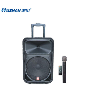 湖山 拉杆音箱 0-BGY4903 台