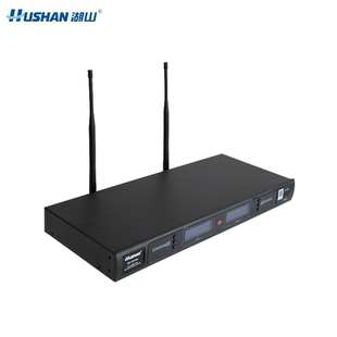 湖山无线话筒DS-U310A（一拖二）套