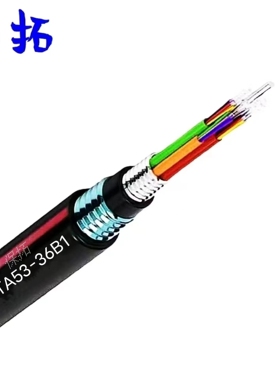 保拓 光缆GYTA53-36B1 米