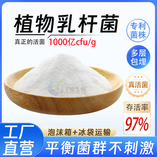 植物乳杆菌1000亿高含量益生菌菌粉食品级乳酸菌酸奶厂家正品现货