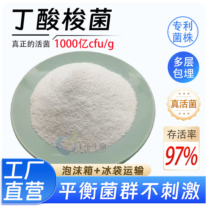 丁酸梭菌1000亿 活性冻干型乳酸菌 食品级原料 益生菌冻干粉 正品