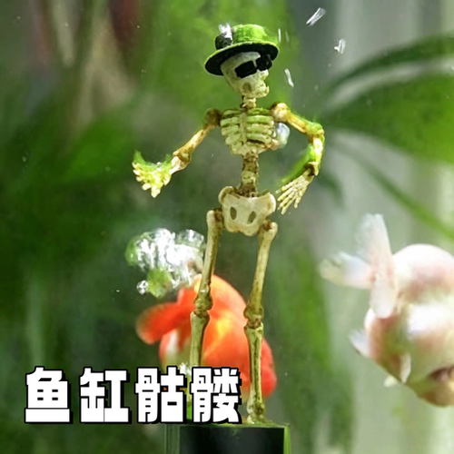 【会跳舞的骷髅人】鱼缸打氧神器