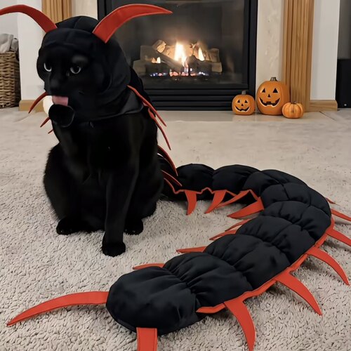 猫咪蜈蚣衣服头套万圣节装扮道具