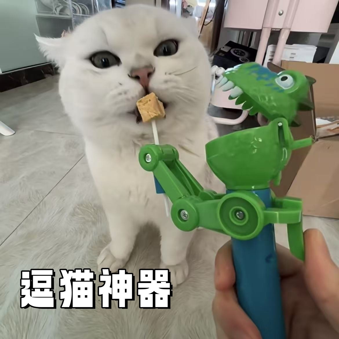 恐龙逗猫棒棒糖玩具自嗨解闷神器