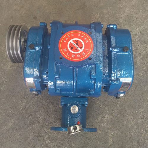 罗次增氧机罗次风机罗茨鼓风机100双油箱机头带进出口消音器