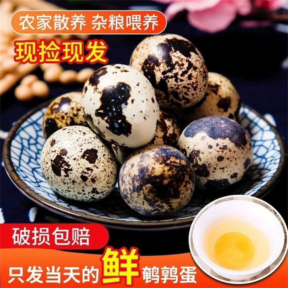 新鲜鹌鹑蛋50枚装农家散养生的鹌鹑蛋鸟蛋宝宝营养辅食破损包赔