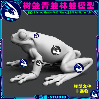 青蛙林蛙树蛙雨3D模型
